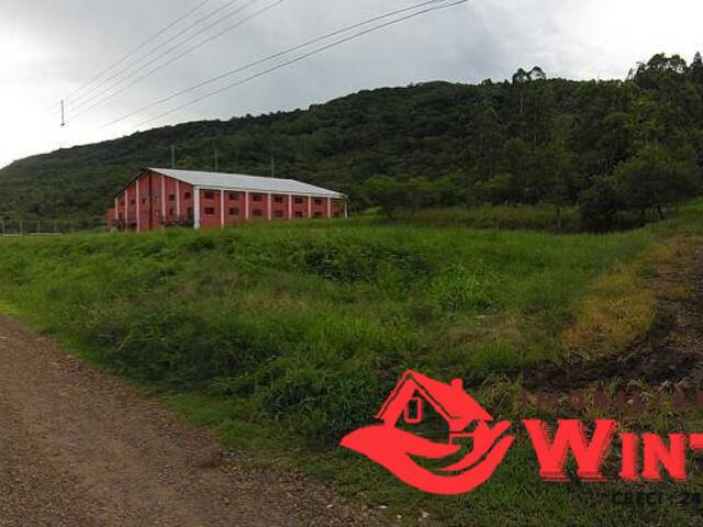 Terreno para Venda em Feliz - 5