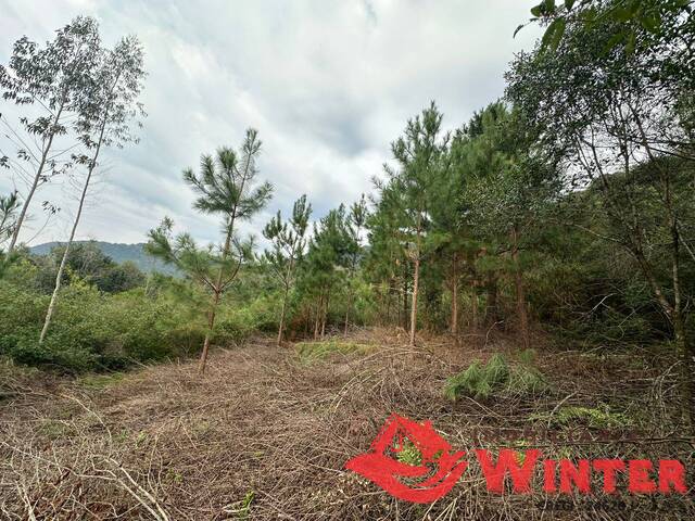 #2122 - Área de terras para Venda em Vale Real - RS