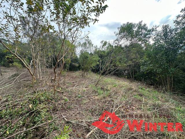 #2122 - Área de terras para Venda em Vale Real - RS