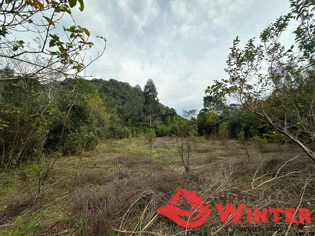 Área de terras para Venda em Vale Real - 4