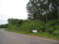 Área de terras para Venda em Feliz - 4