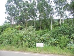 Área de terras para Venda em Feliz - 5