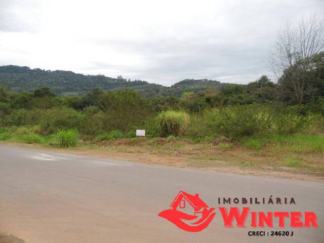 Área de terras para Venda em Feliz - 4