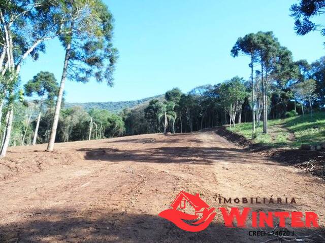 #454 - Terreno para Venda em Vale Real - RS - 1