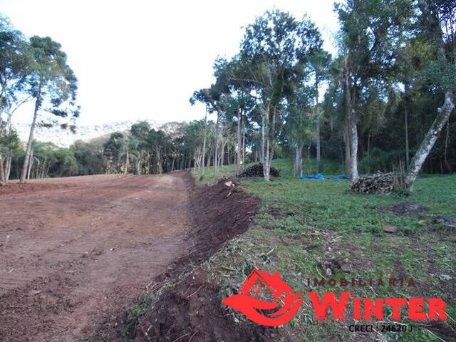Terreno para Venda em Vale Real - 4
