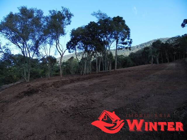Terreno para Venda em Vale Real - 5
