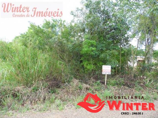 Terreno para Venda em Bom Princípio - 4