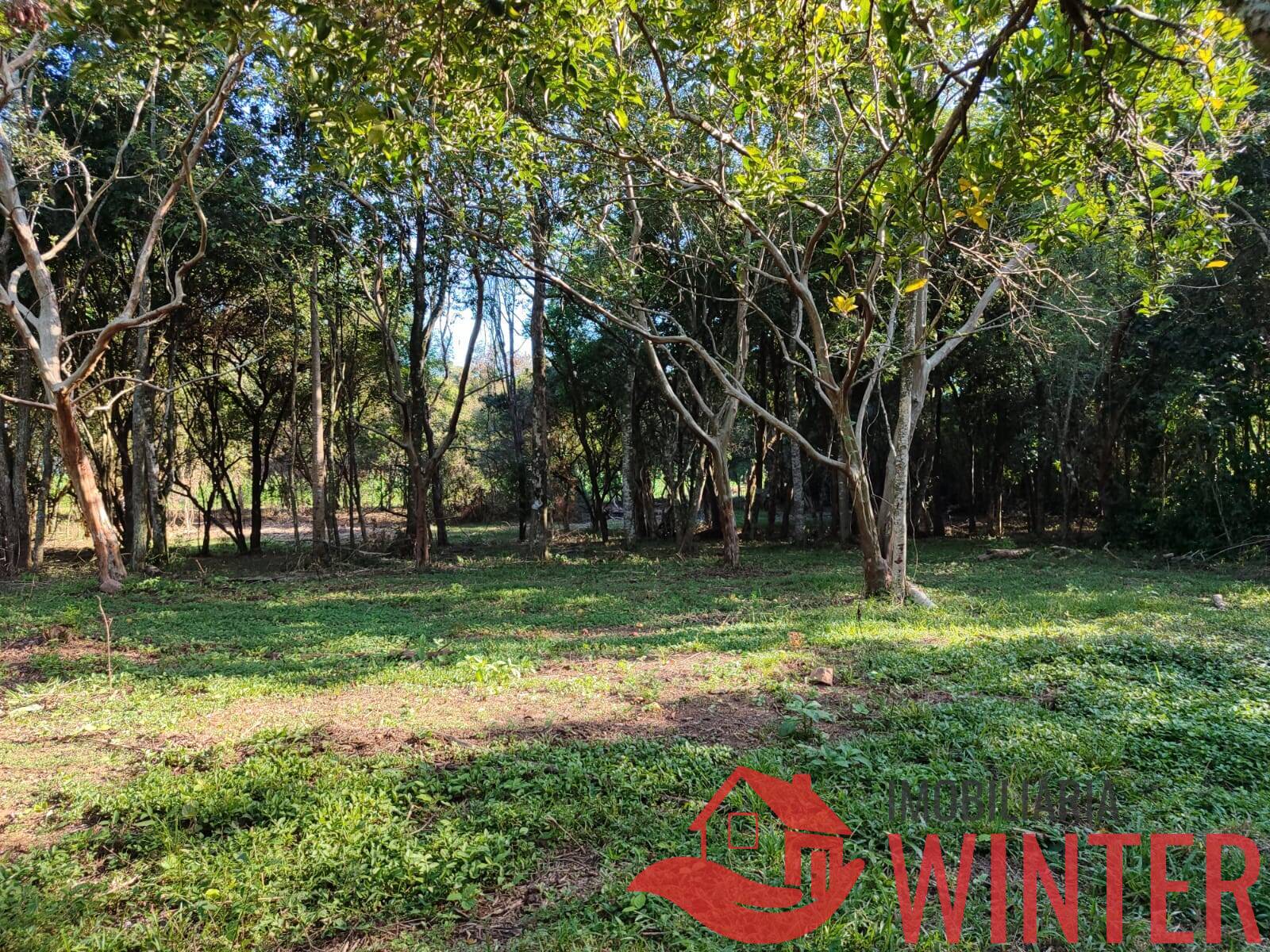 Área de terras plana com 4.800,00m² em Morro São Pedro, Bom Princípio.